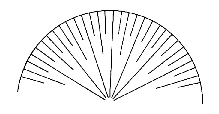 Fungi. Mushroom Gill Pattern