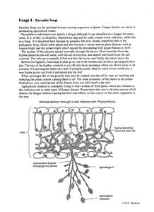 Parasitic Fungi