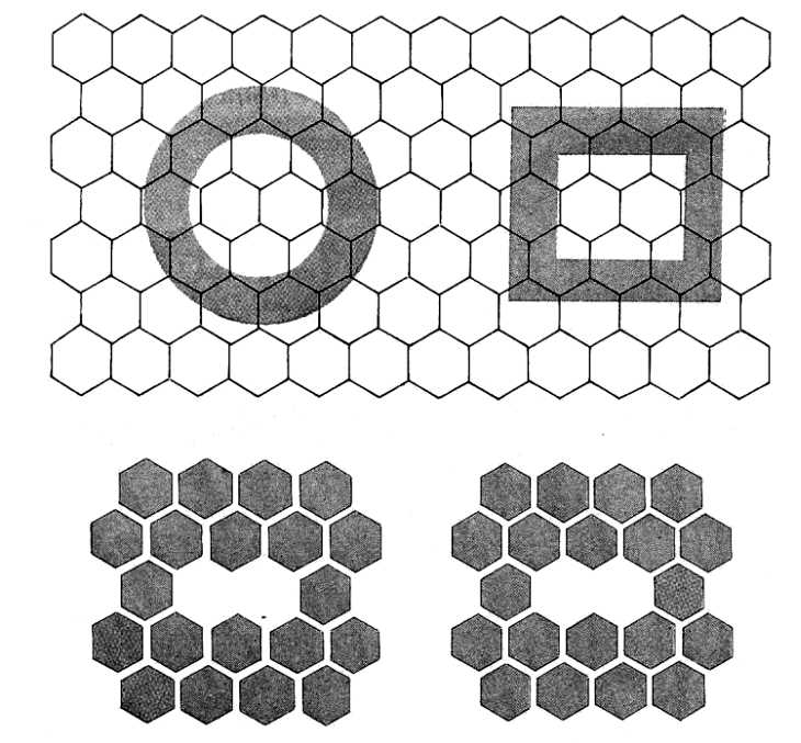 Compound Eye - Image Appearance