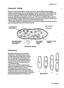 Paramecium feeding & reproduction